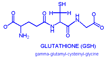 sundhedside.dk immunforsvar glutathione 